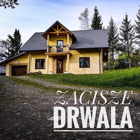 Zacisze Drwala Guest House Lutowiska Bagian luar foto