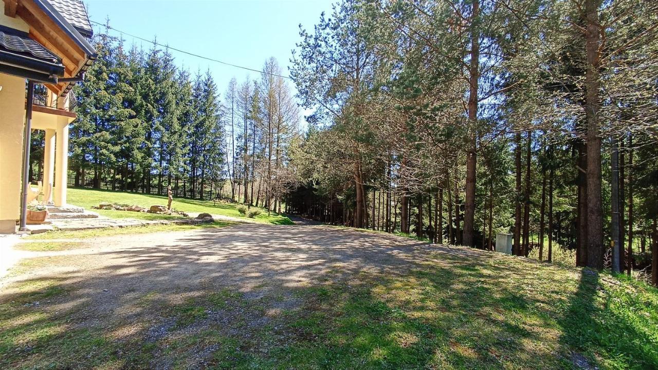 Zacisze Drwala Guest House Lutowiska Bagian luar foto