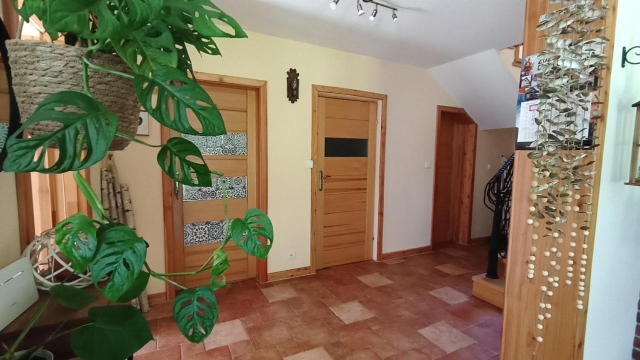 Zacisze Drwala Guest House Lutowiska Bagian luar foto