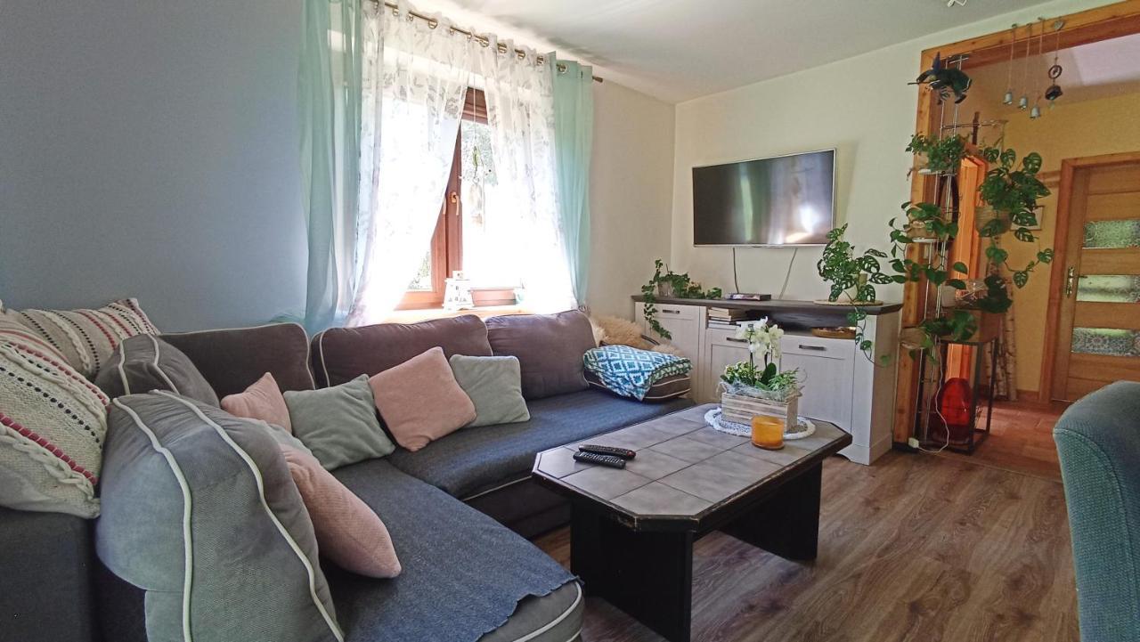 Zacisze Drwala Guest House Lutowiska Bagian luar foto