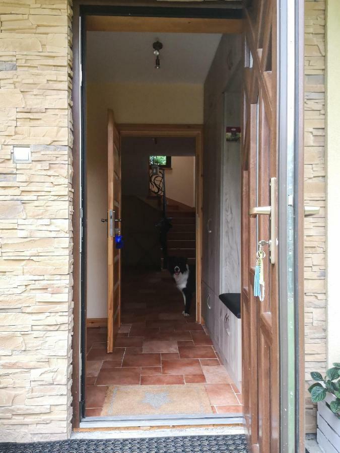 Zacisze Drwala Guest House Lutowiska Bagian luar foto