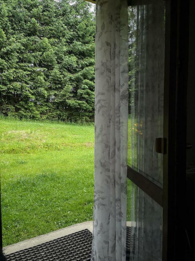 Zacisze Drwala Guest House Lutowiska Bagian luar foto